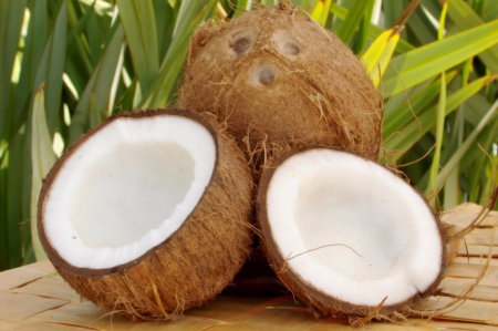 gallery/coconuts fresh